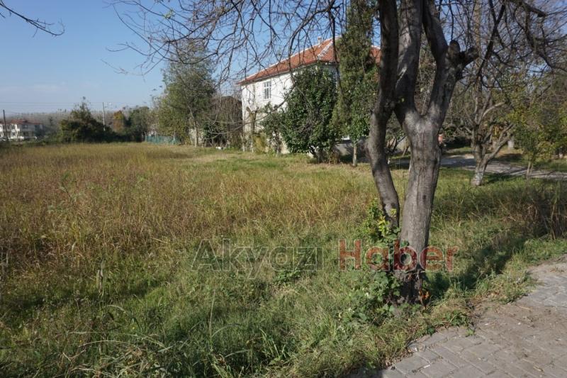 Dengesini kaybetti ağaca çarparak tarla uçtu