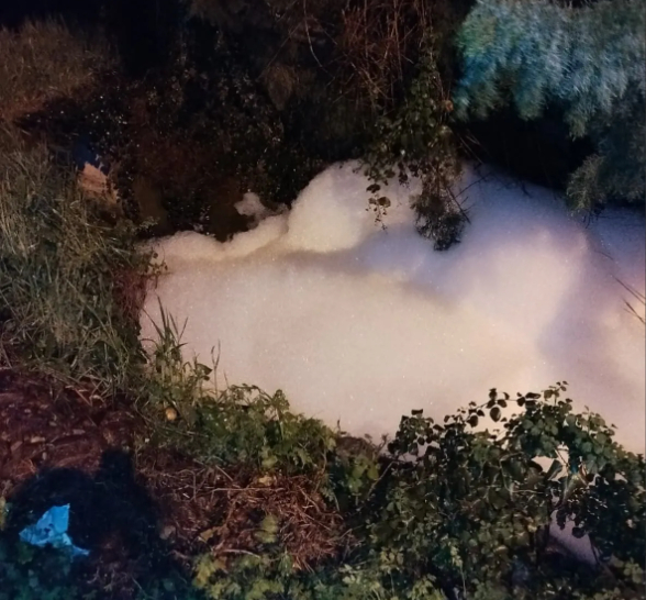 Dere köpürdü, İşte nedeni