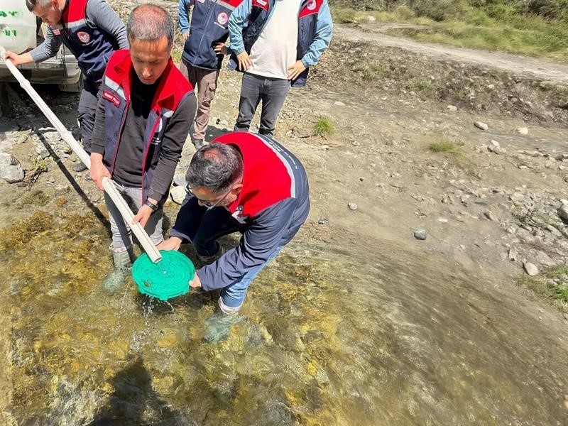 Derelere 50 bin kırmızı benekli alabalık yavrusu bırakıldı