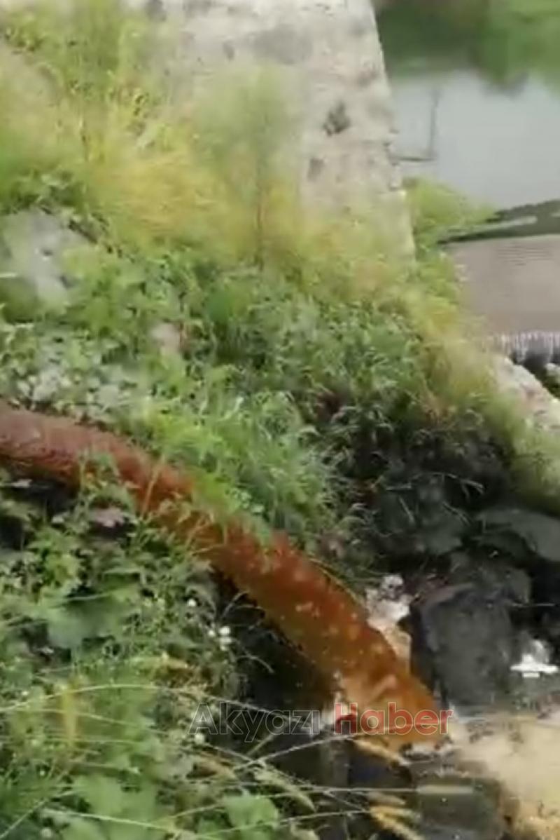  Dereleri zehirlemeye devam ediyoruz