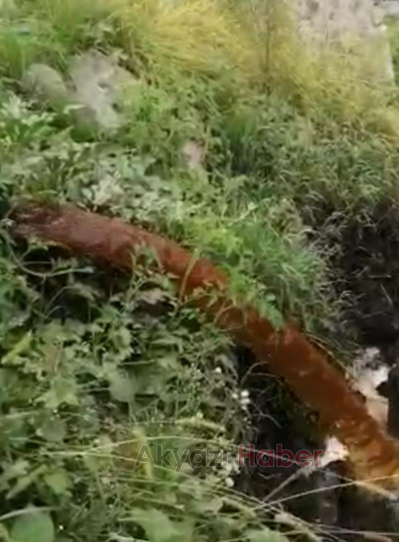  Dereleri zehirlemeye devam ediyoruz