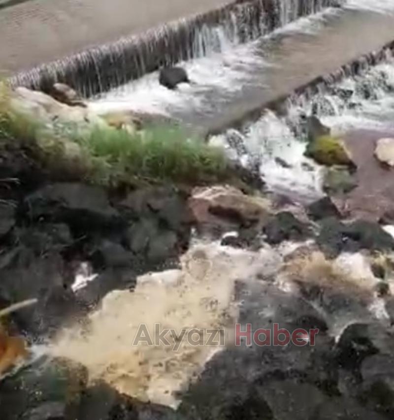  Dereleri zehirlemeye devam ediyoruz