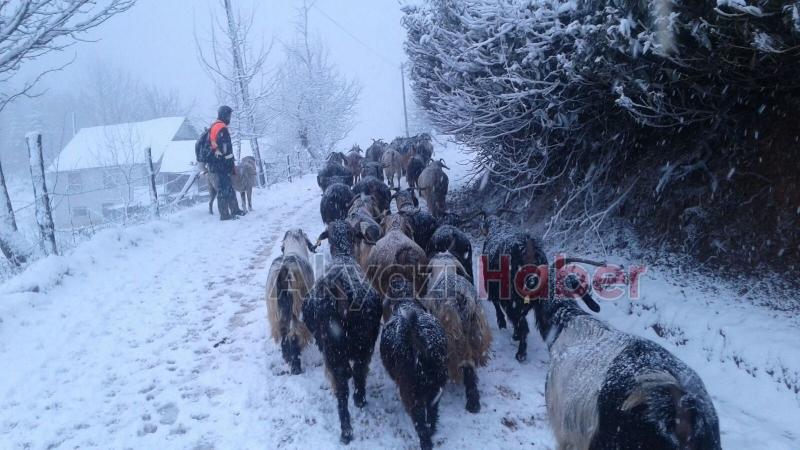Dikmen Yaylası beyaza büründü