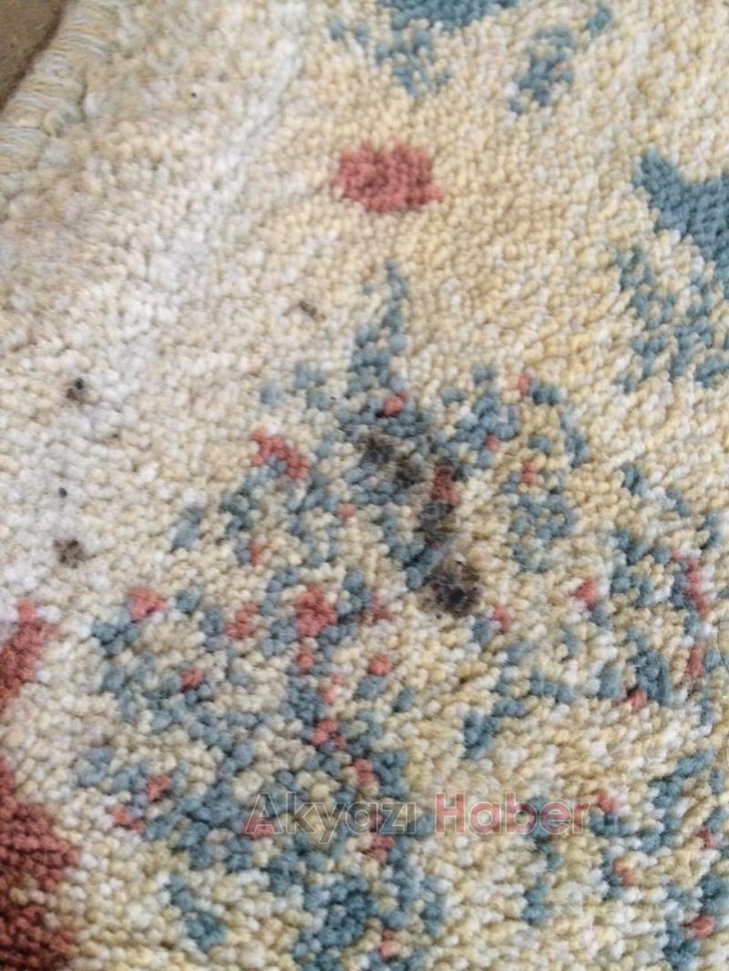 Dileyene Elde Dileyene Otomatik Makinada Yıkama