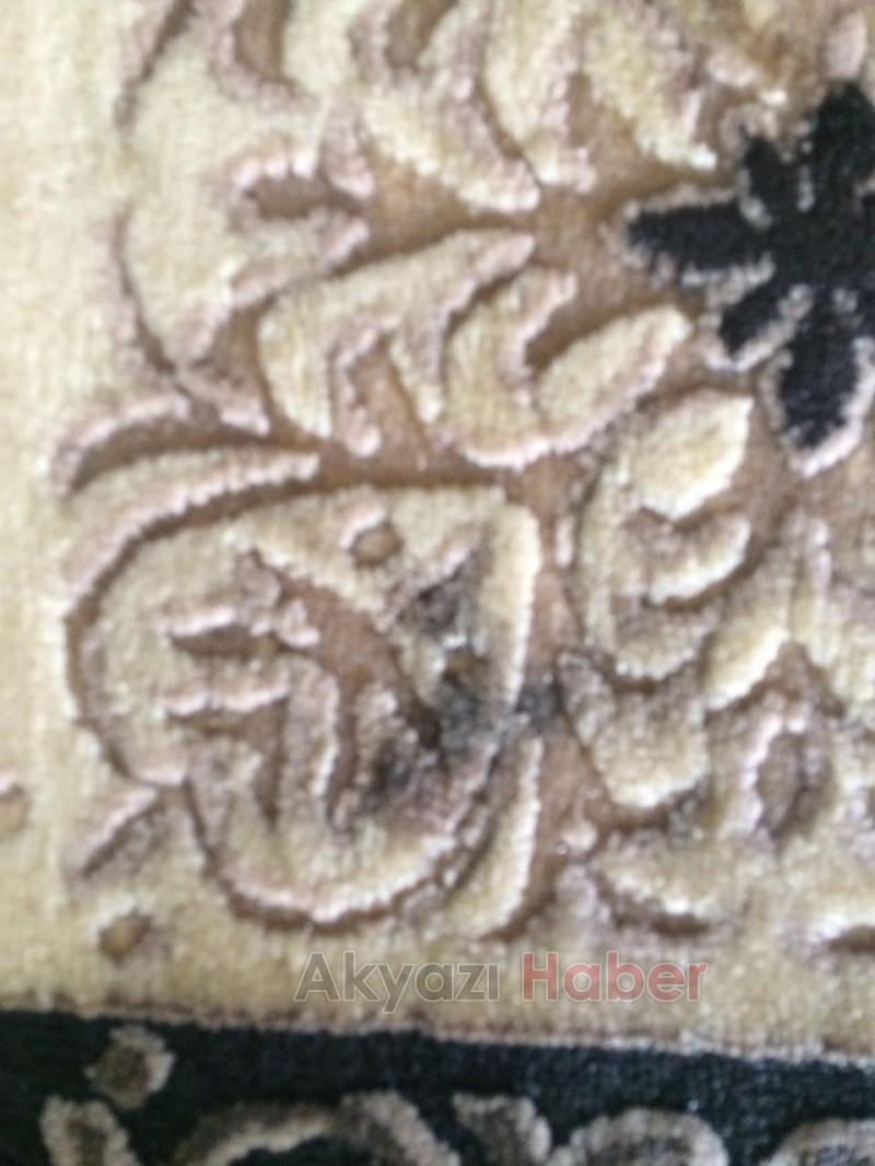 Dileyene Elde Dileyene Otomatik Makinada Yıkama