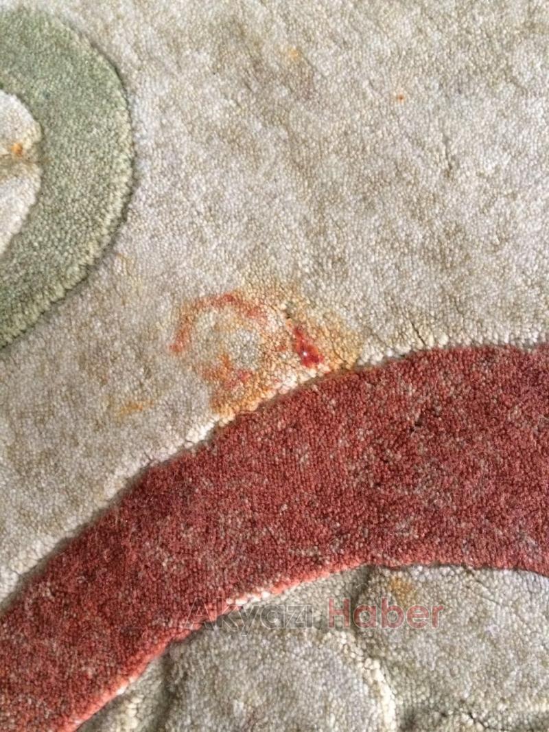 Dileyene Elde Dileyene Otomatik Makinada Yıkama