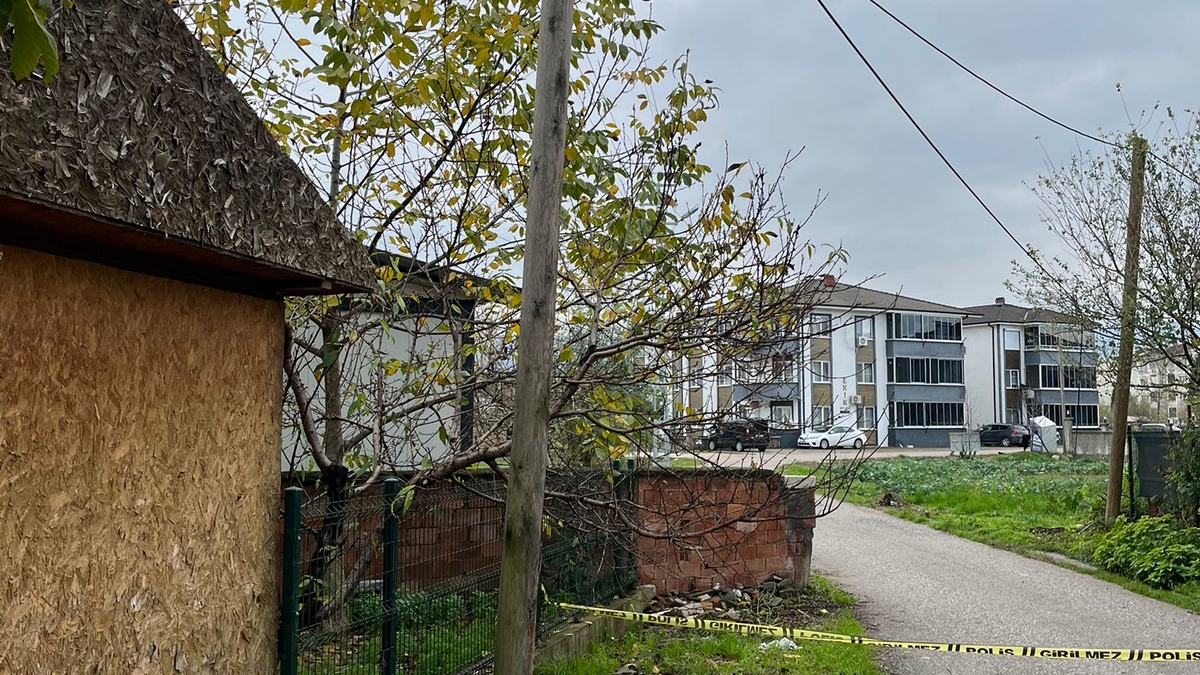 Direğe müdahale edildi, sokak trafiğe açıldı