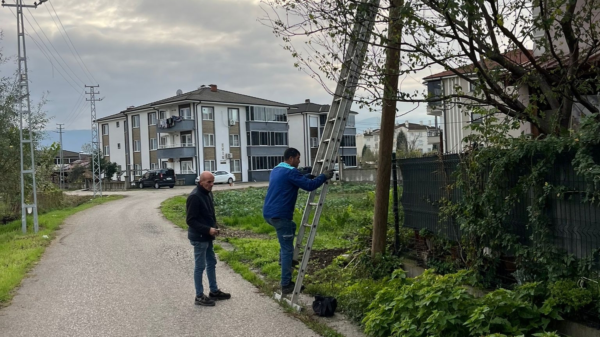 Direğe müdahale edildi, sokak trafiğe açıldı
