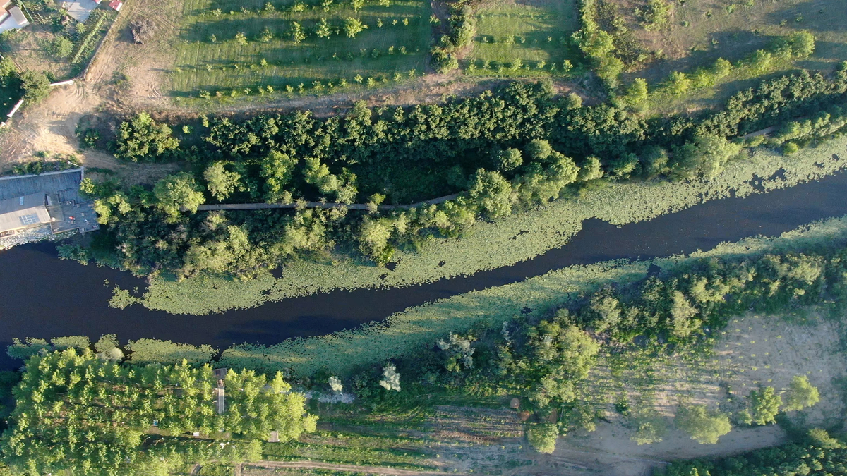 Doğa harikası Acalar Longozu için yeni koruma kararı