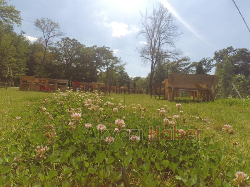 Doğa İle İç İçe Olmanın Keyfini Çıkarın