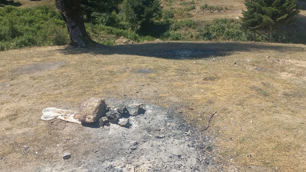 Doğa koruma için ücretli giriş: Acelle Yaylası mesire alanında yeni dönem