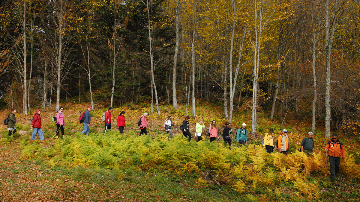 Doğa tutkunları 9 farklı rotada yürüyüş deneyimi yaşayacak.
