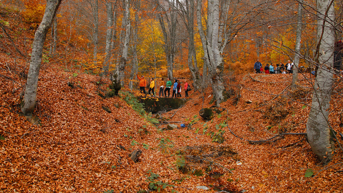 Doğa tutkunları 9 farklı rotada yürüyüş deneyimi yaşayacak.