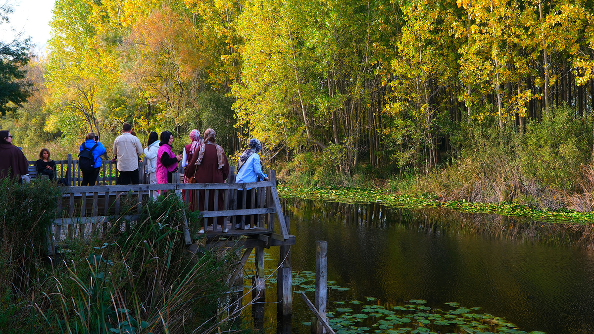 Doğa yürüyüşleri Maden Deresi Acarlar Longozu parkuru ile devam etti
