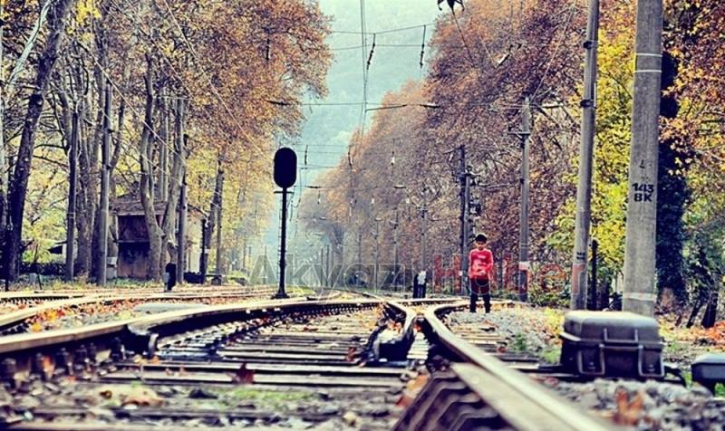 DOĞANÇAY'DA DOĞA KATLİAMINA TEPKİ 