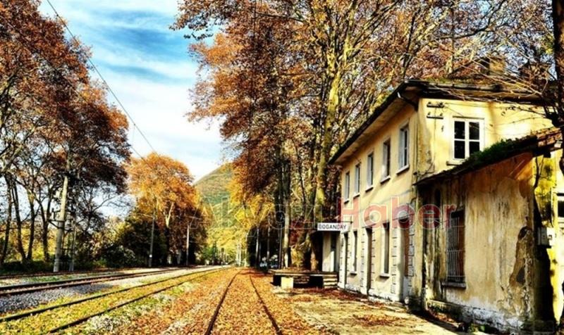 DOĞANÇAY'DA DOĞA KATLİAMINA TEPKİ 