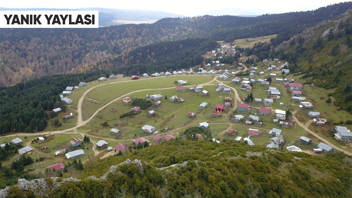 Doğanın Kalbine Yolculuk! Akyazı’nın Saklı Cennet Yaylaları Keşfedilmeyi Bekliyor!