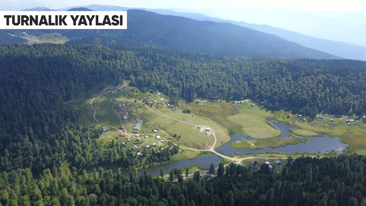 Doğanın Kalbine Yolculuk! Akyazı’nın Saklı Cennet Yaylaları Keşfedilmeyi Bekliyor!