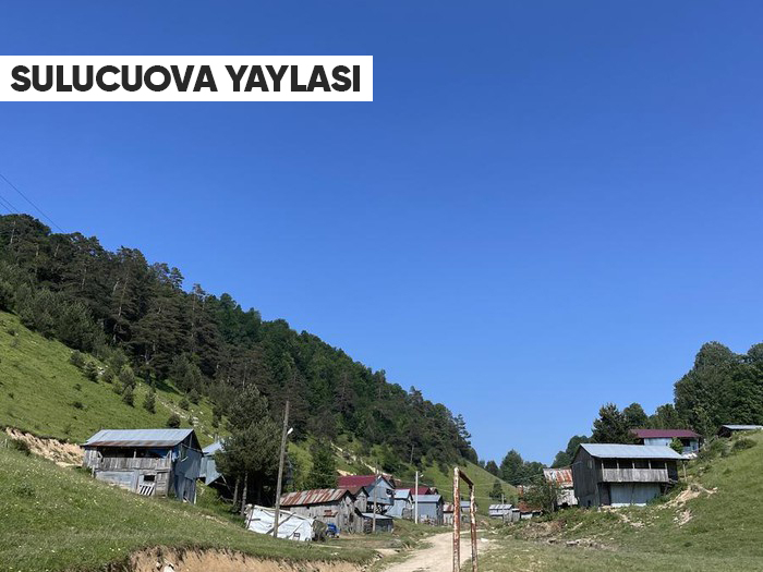 Doğanın Kalbine Yolculuk! Akyazı’nın Saklı Cennet Yaylaları Keşfedilmeyi Bekliyor!