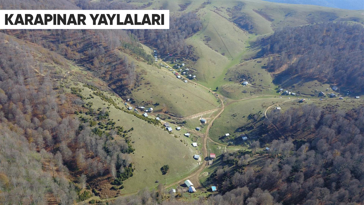 Doğanın Kalbine Yolculuk! Akyazı’nın Saklı Cennet Yaylaları Keşfedilmeyi Bekliyor!