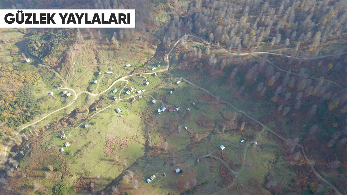 Doğanın Kalbine Yolculuk! Akyazı’nın Saklı Cennet Yaylaları Keşfedilmeyi Bekliyor!