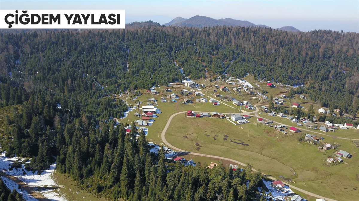 Doğanın Kalbine Yolculuk! Akyazı’nın Saklı Cennet Yaylaları Keşfedilmeyi Bekliyor!