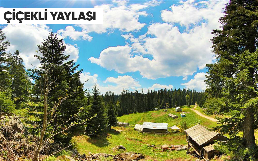 Doğanın Kalbine Yolculuk! Akyazı’nın Saklı Cennet Yaylaları Keşfedilmeyi Bekliyor!