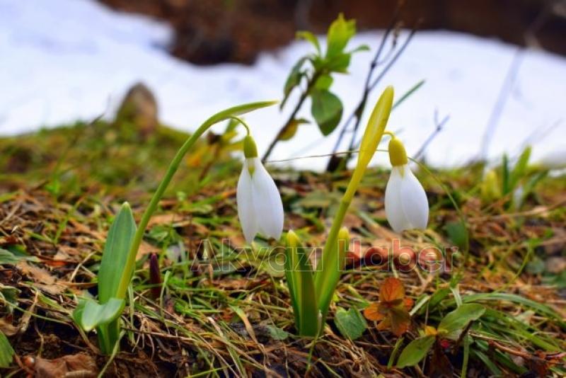 Doğasever Öğretmenler Keremali Zirvesine Yürüdü