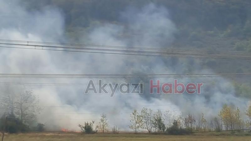 Dokurcun da Yangın