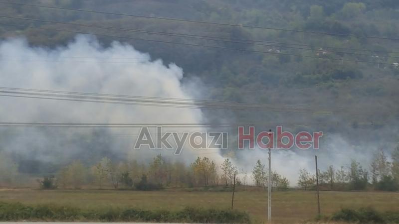 Dokurcun da Yangın
