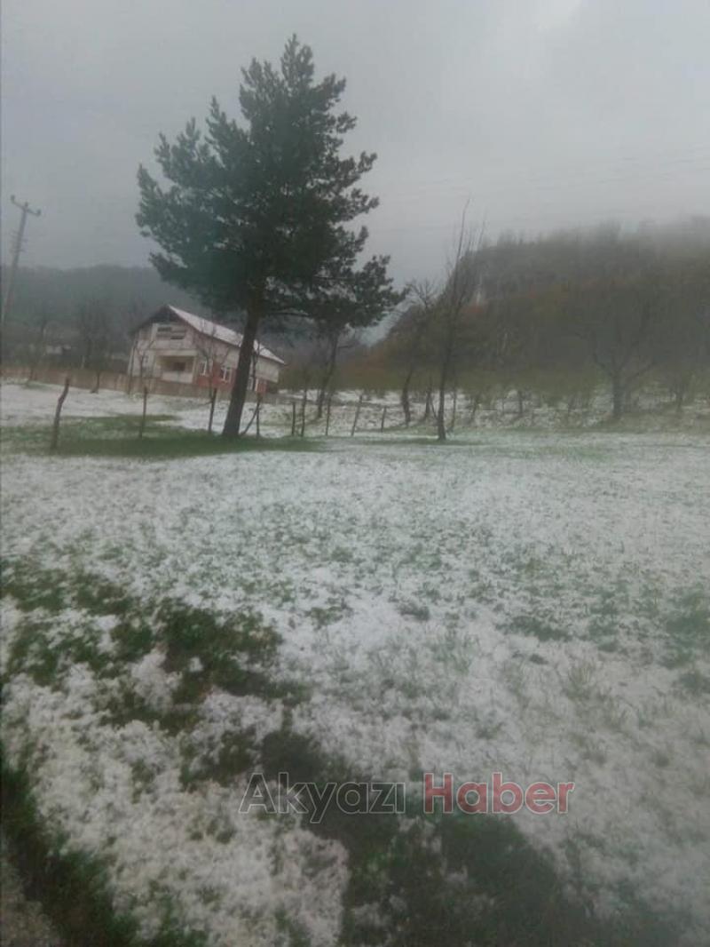 Dolu fındık bahçelerini vurdu