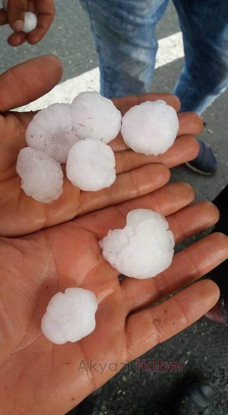 DOLU YAĞIŞI FINDIKLARA BÜYÜK ZARAR VERDİ