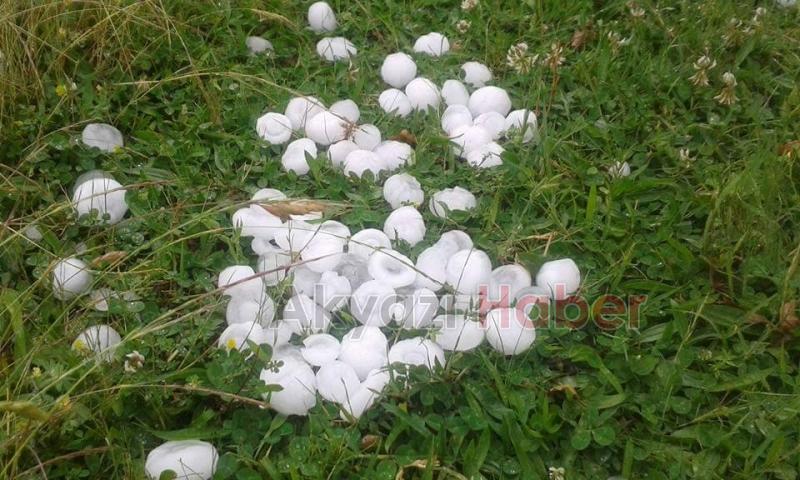 DOLU YAĞIŞI FINDIKLARA BÜYÜK ZARAR VERDİ