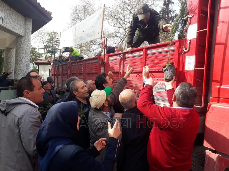 Dünya Ormancılık Gününde Akyazı da 3 Bin Fidan Dağıtıldı