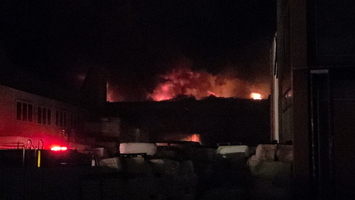 Strafor fabrikasında büyük yangın; Sakarya'dan ekipler sevk edildi