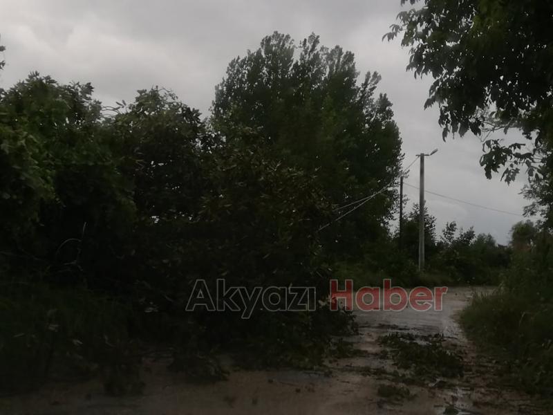 Elektrik Telleri Fırtınaya Dayanamadı