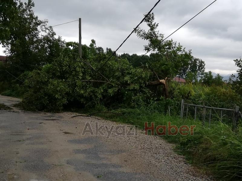 Elektrik Telleri Fırtınaya Dayanamadı