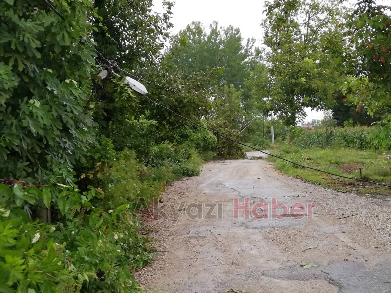 Elektrik Telleri Fırtınaya Dayanamadı