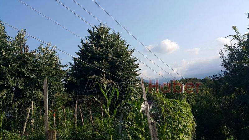 ELEKTRİK TELLERİ TEHLİKE SAÇIYOR