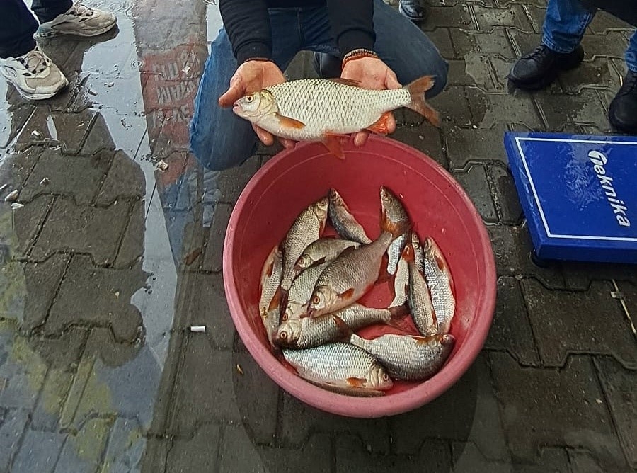 En çok kızılkanatı yakalamak için yarıştılar