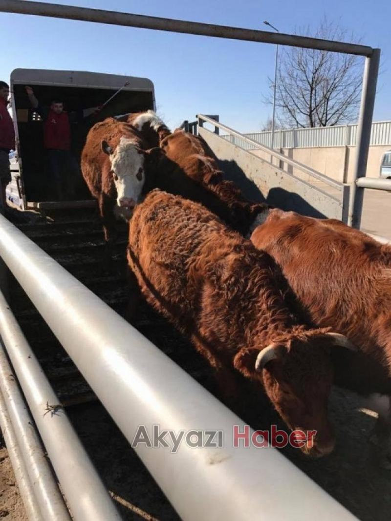 En Güvenilir ve Taze Et Coşkun Kardeşler Et Dünyasında