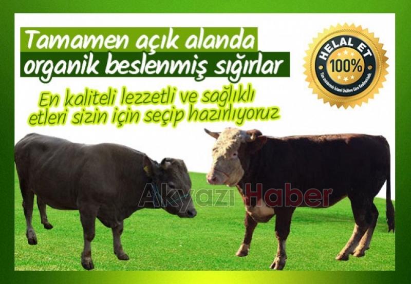 En Güvenilir ve Taze Et Coşkun Kardeşler Et Dünyasında