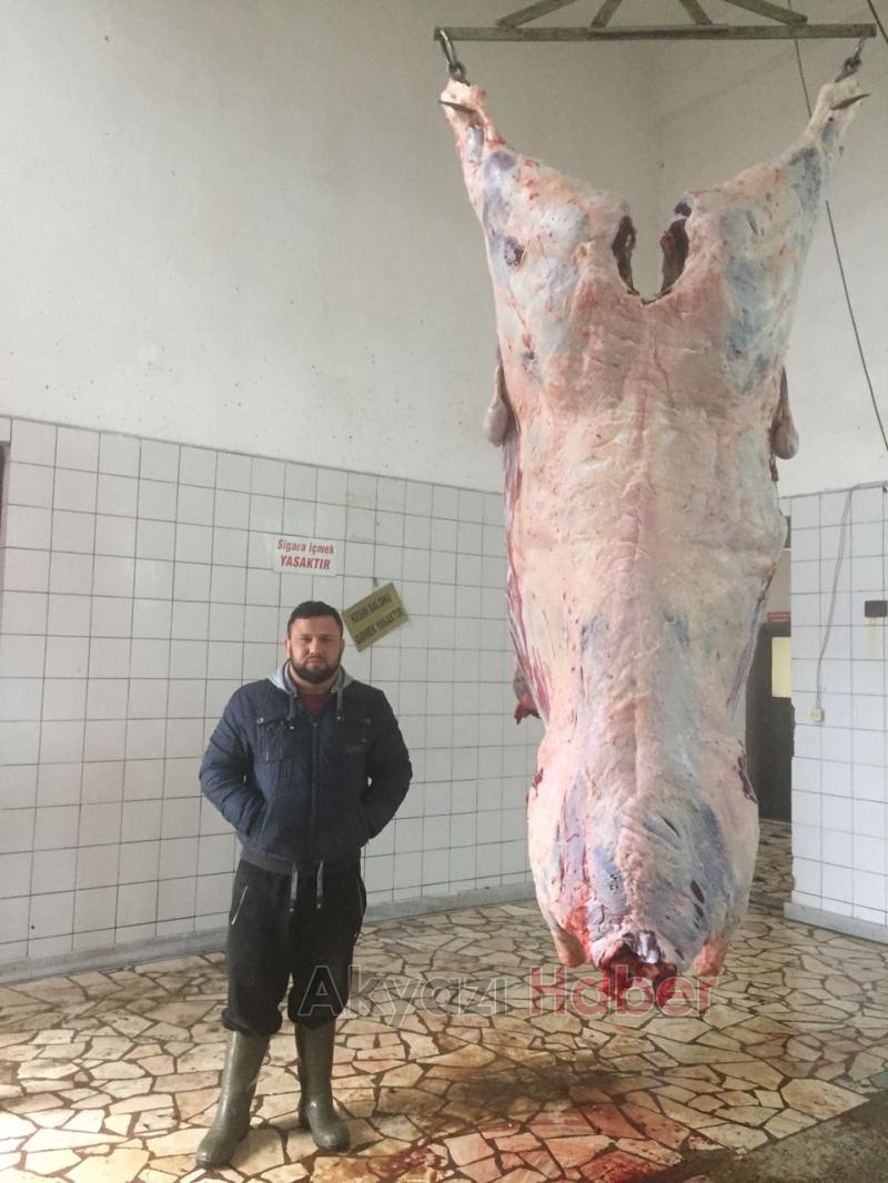 En Güvenilir ve Taze Et Kardeşler Et Dünyası’nda