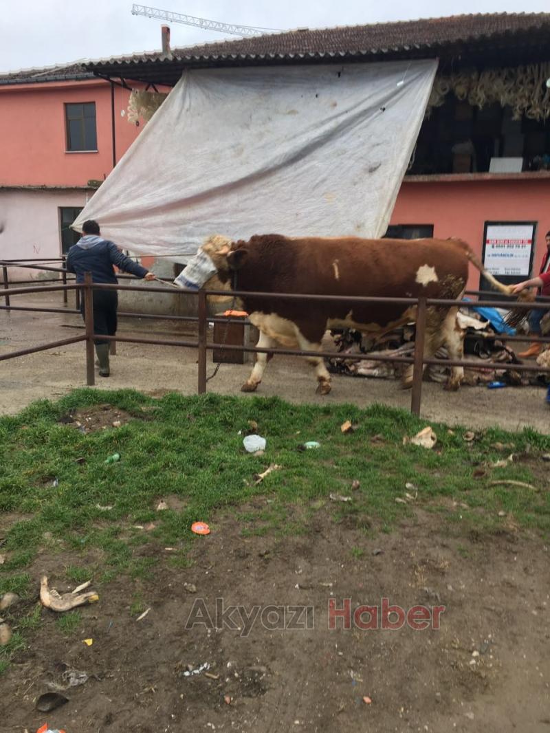 En Güvenilir ve Taze Et Kardeşler Et Dünyası’nda