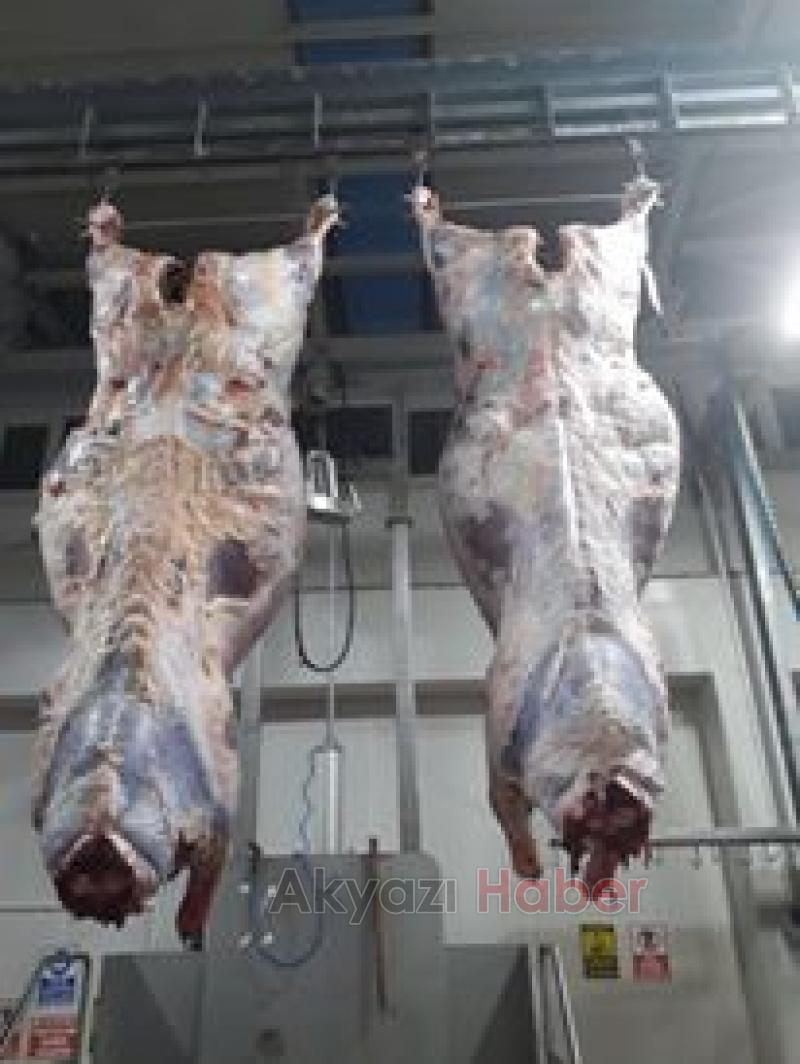 En Güvenilir ve Taze Et Kardeşler Et Dünyası’nda