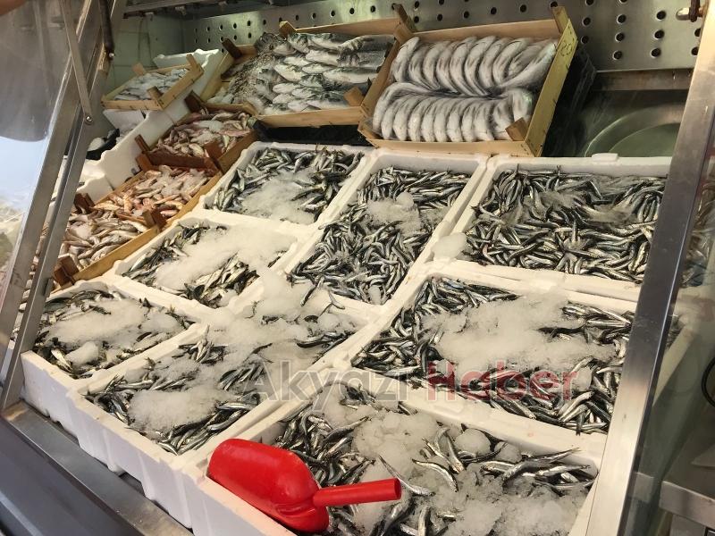 En taze balık çeşitleri Balıkçı Hüseyin'de 