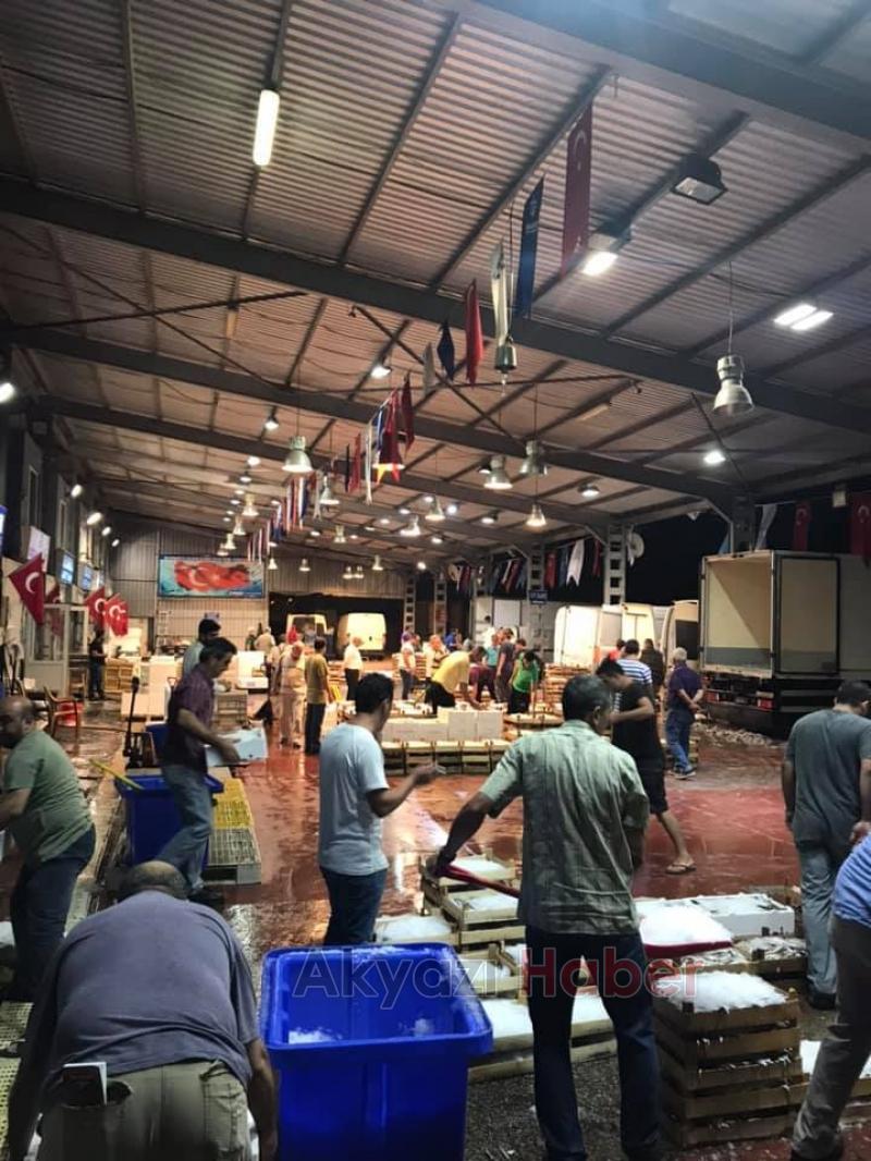 En Taze Balıklar Balıkçı Hüseyinde Sizleri Bekliyor