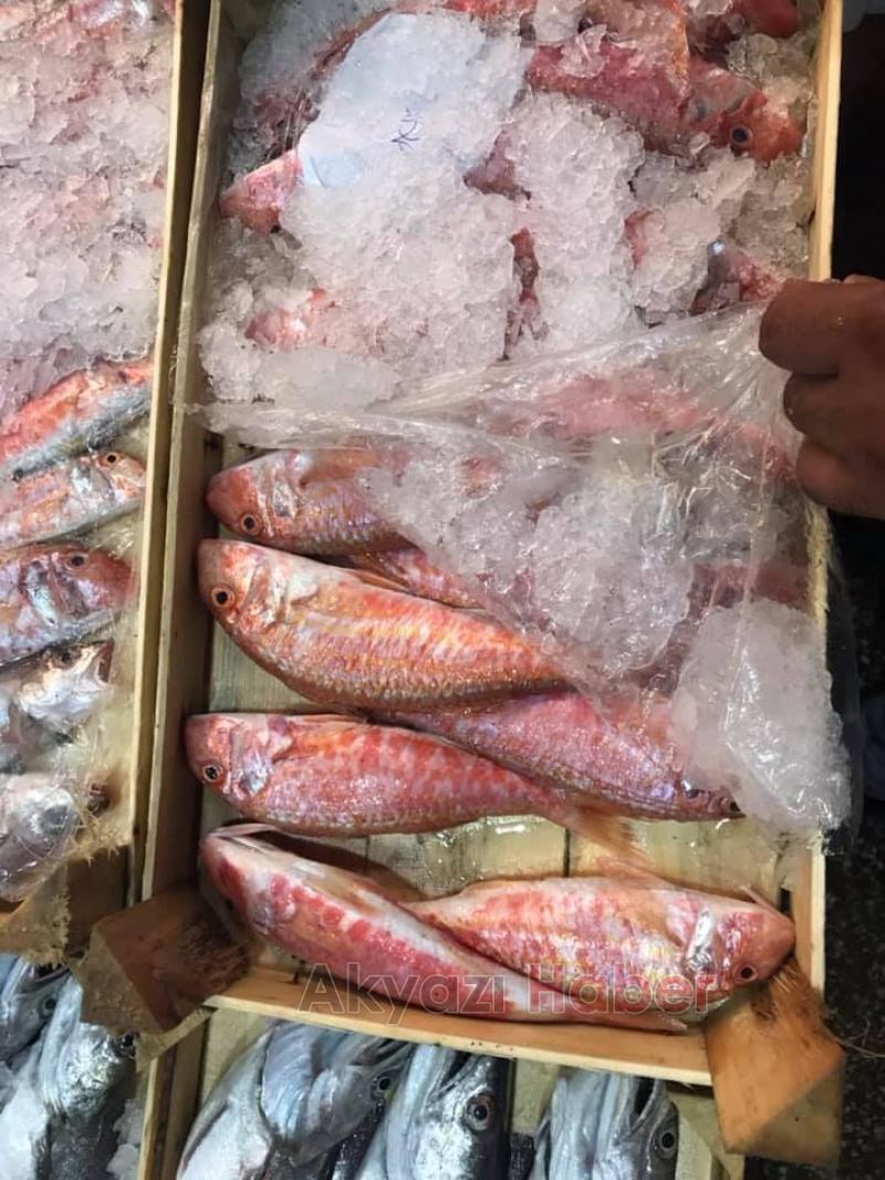 En Taze Balıklar Balıkçı Hüseyinde Sizleri Bekliyor