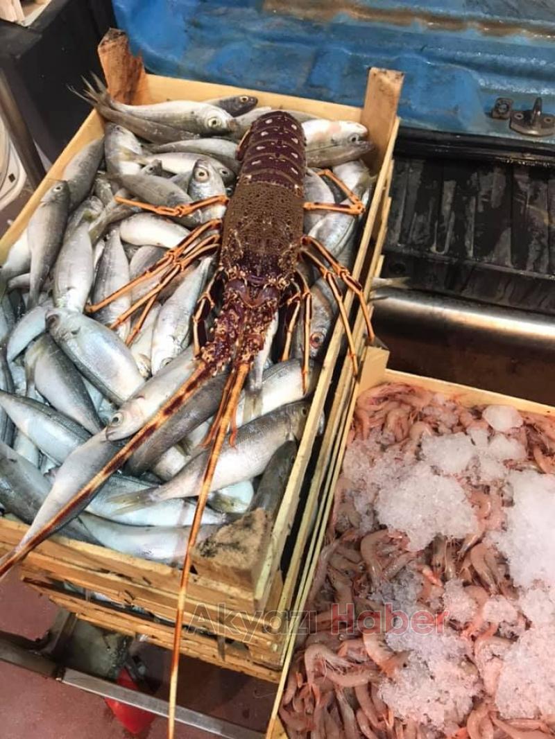 En Taze Balıklar Balıkçı Hüseyinde Sizleri Bekliyor