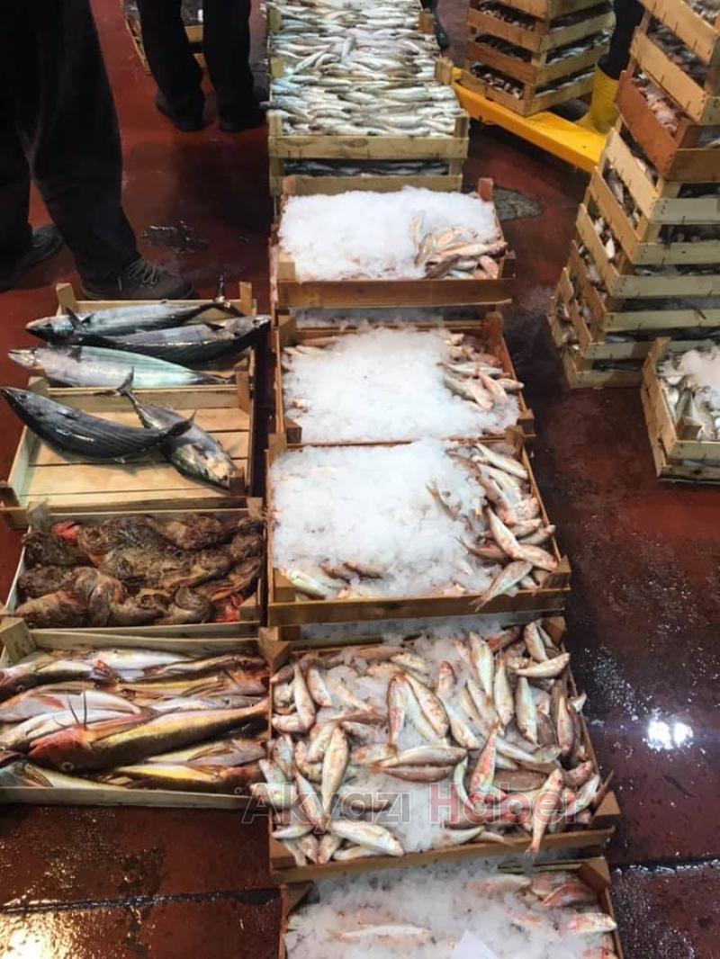 En Taze Balıklar Balıkçı Hüseyinde Sizleri Bekliyor